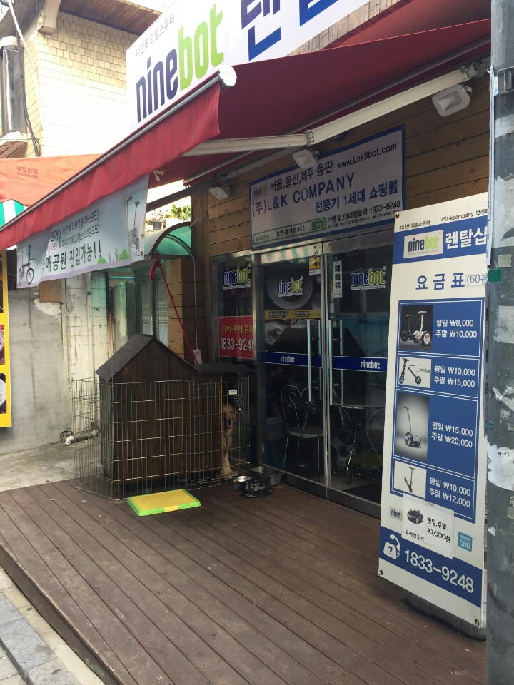 동작구 학대받는개