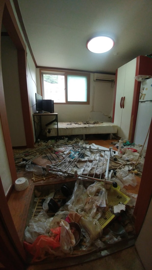 동물 학대 관련 고발하고자 합니다.