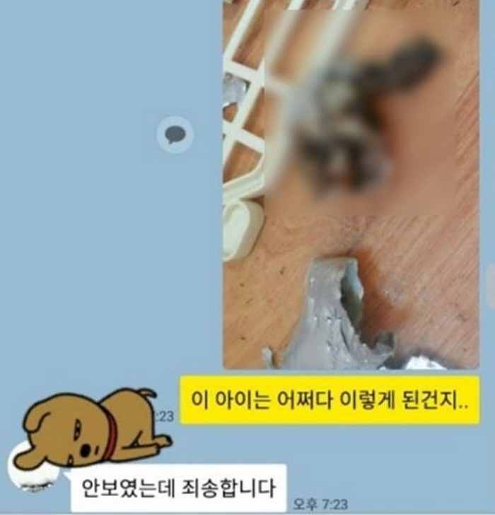 30대 여사장이 동물방치 학대 