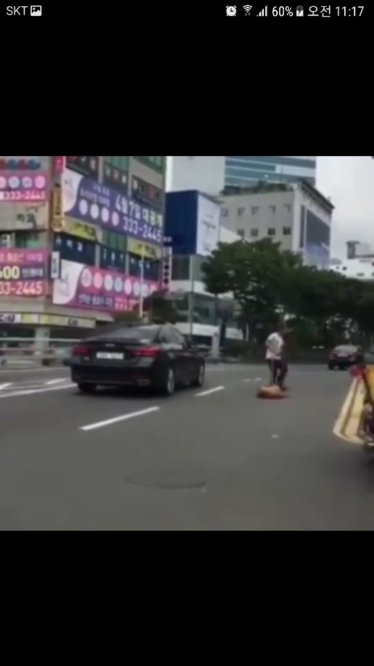 개시장에서 도망친 개를 잔인하게 끌고 갔다고 합니다