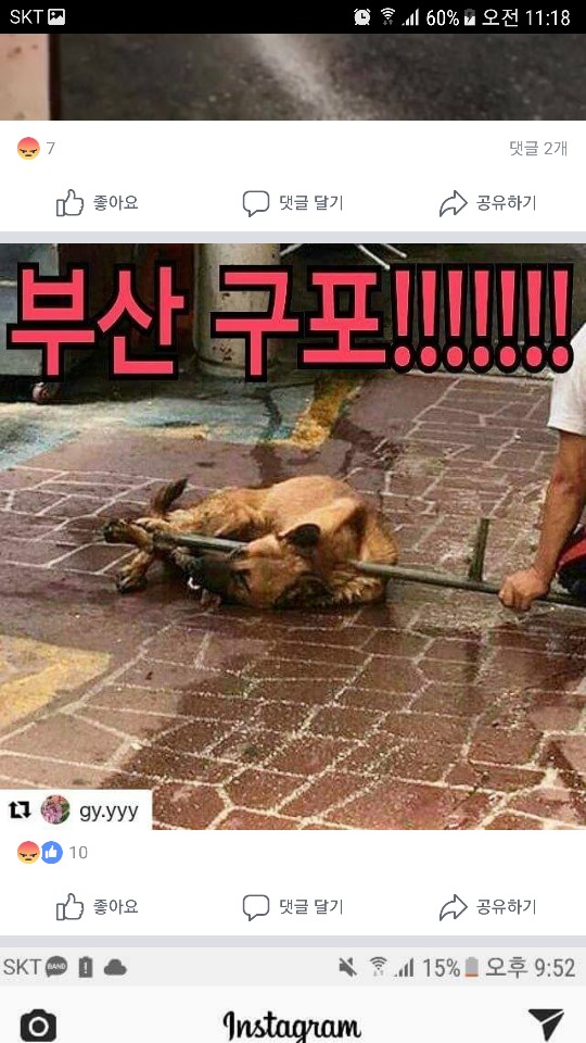개시장에서 도망친 개를 잔인하게 끌고 갔다고 합니다