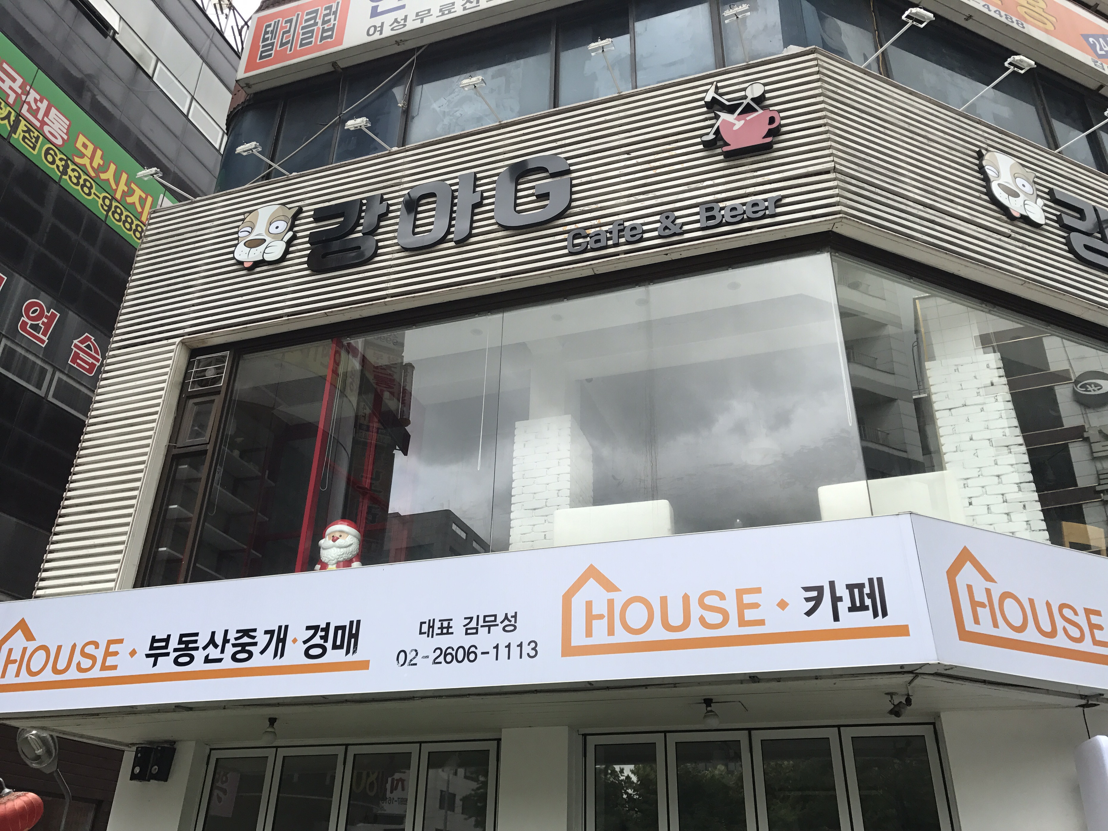 대형견 한마리, 새끼 강아지 두 마리가 방치되어 죽어가고 있어요.도와주세요