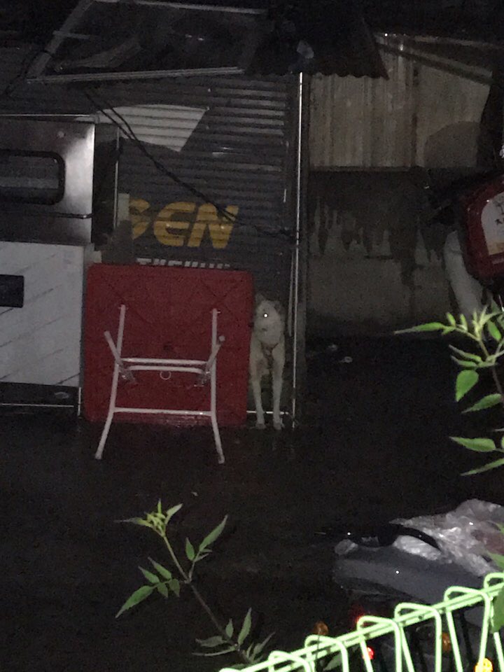 제발 진숙이를 구해주세요