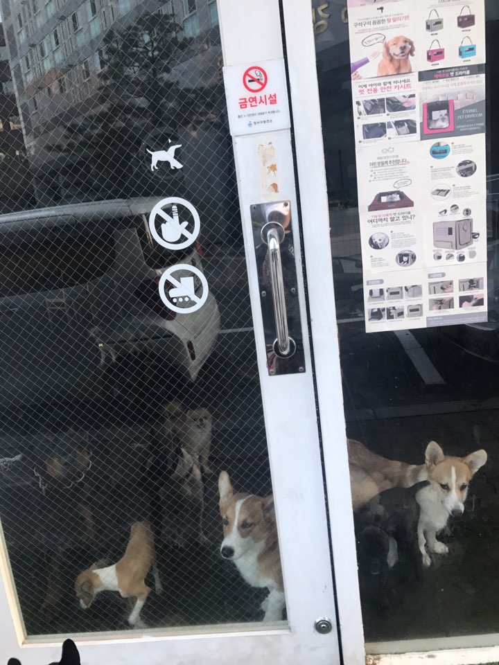 사진첨부합니다 