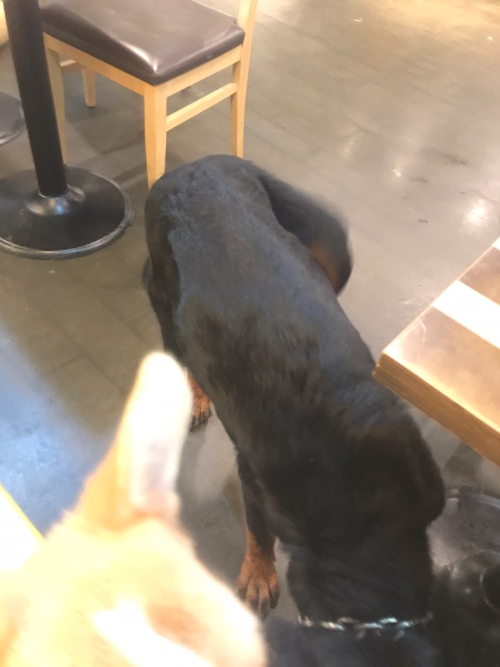 사진첨부합니다 