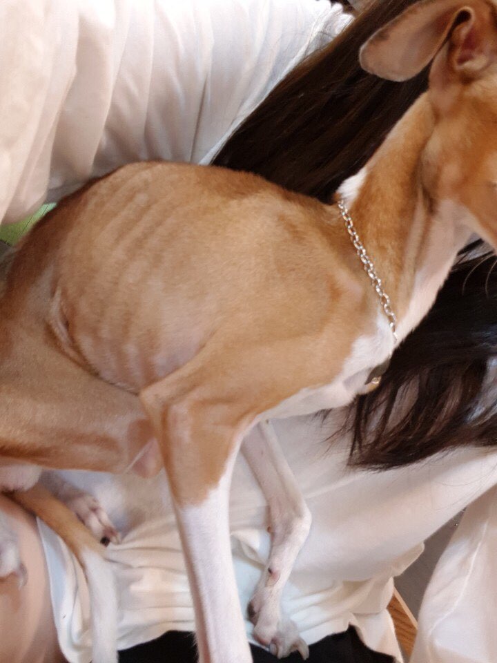 사진첨부합니다 