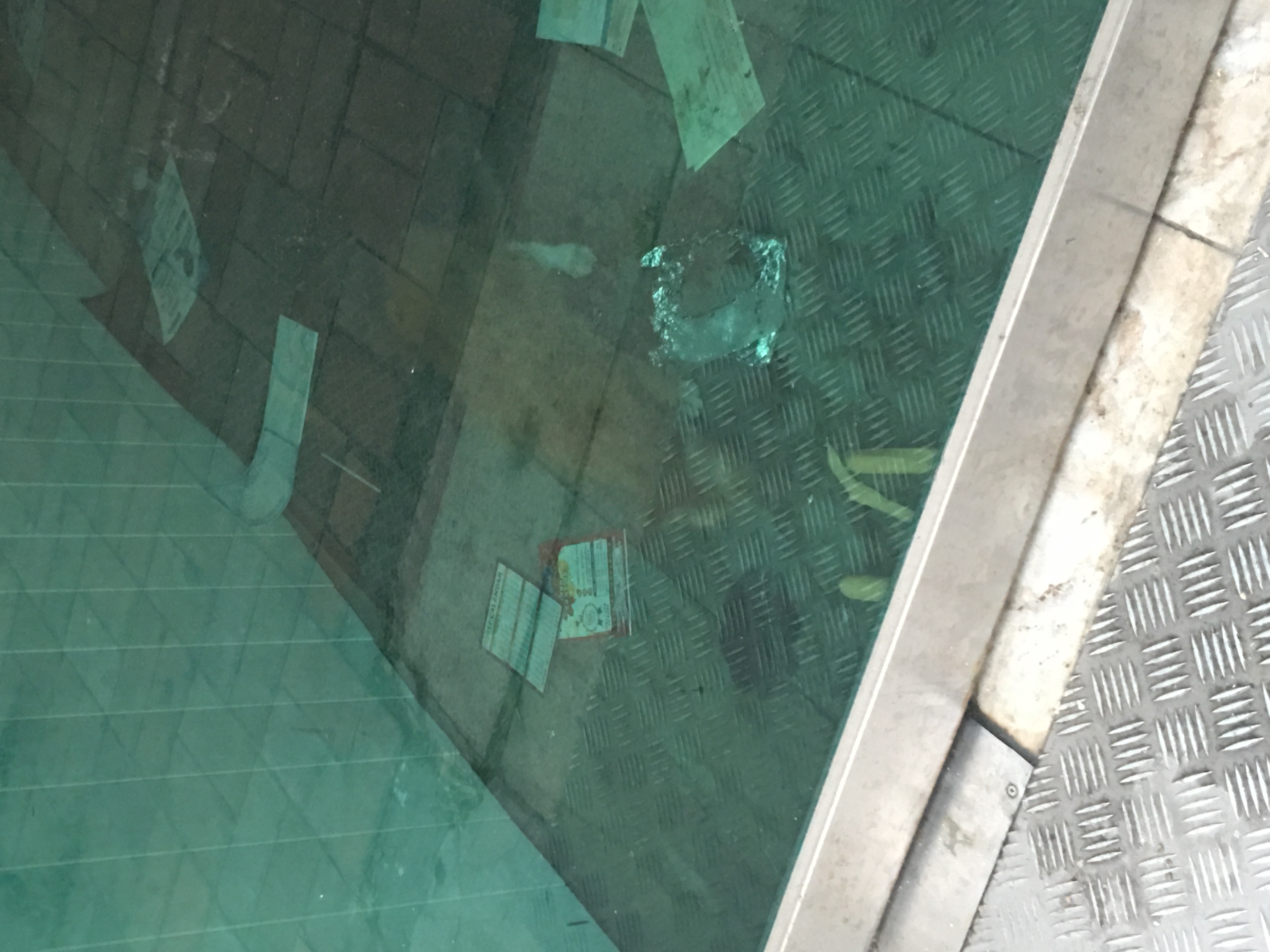 고양이가 건물에 갇혀서 방치되고있어요