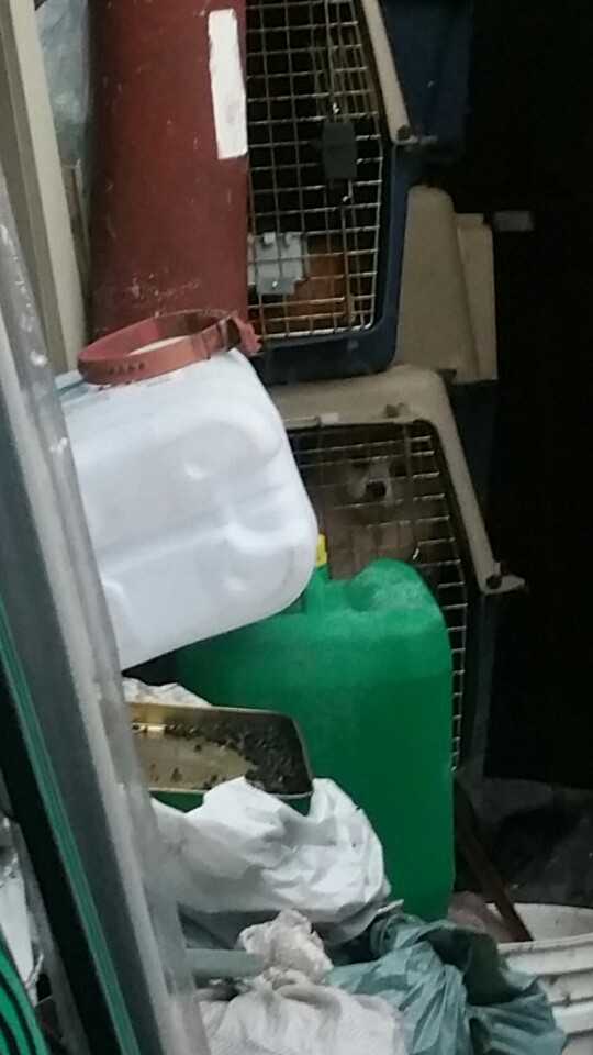 영등포구 신길동 애니멀호더 할아버지