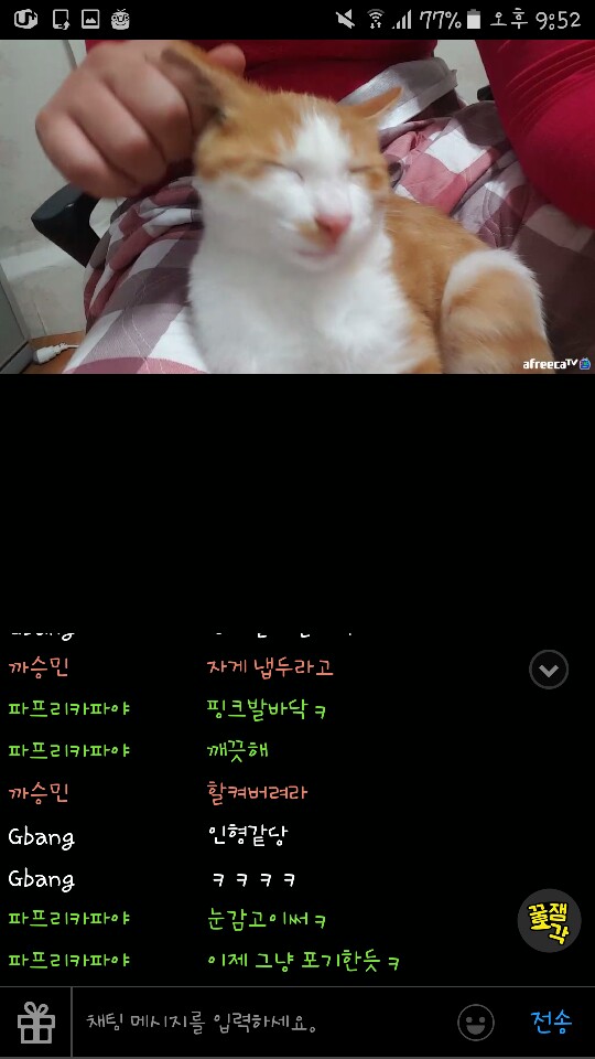 아프리카TV BJ 고양이학대 신고