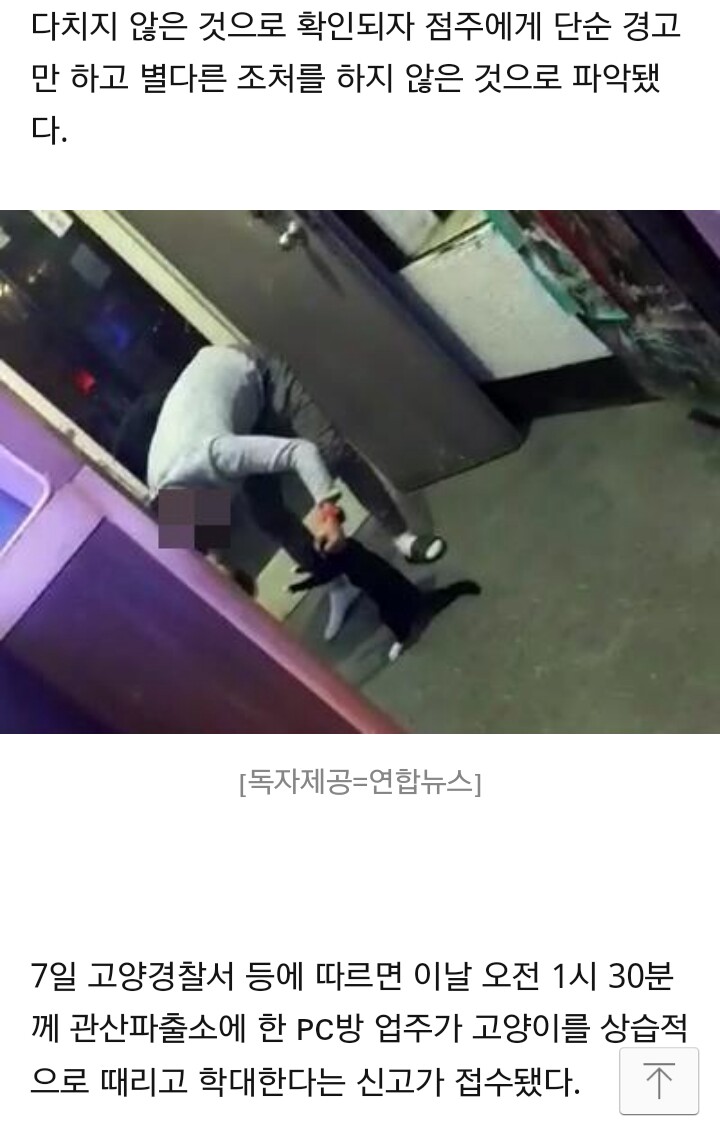 네이버 뉴스 제보 pc방 주인 고양이 상습학대 제보