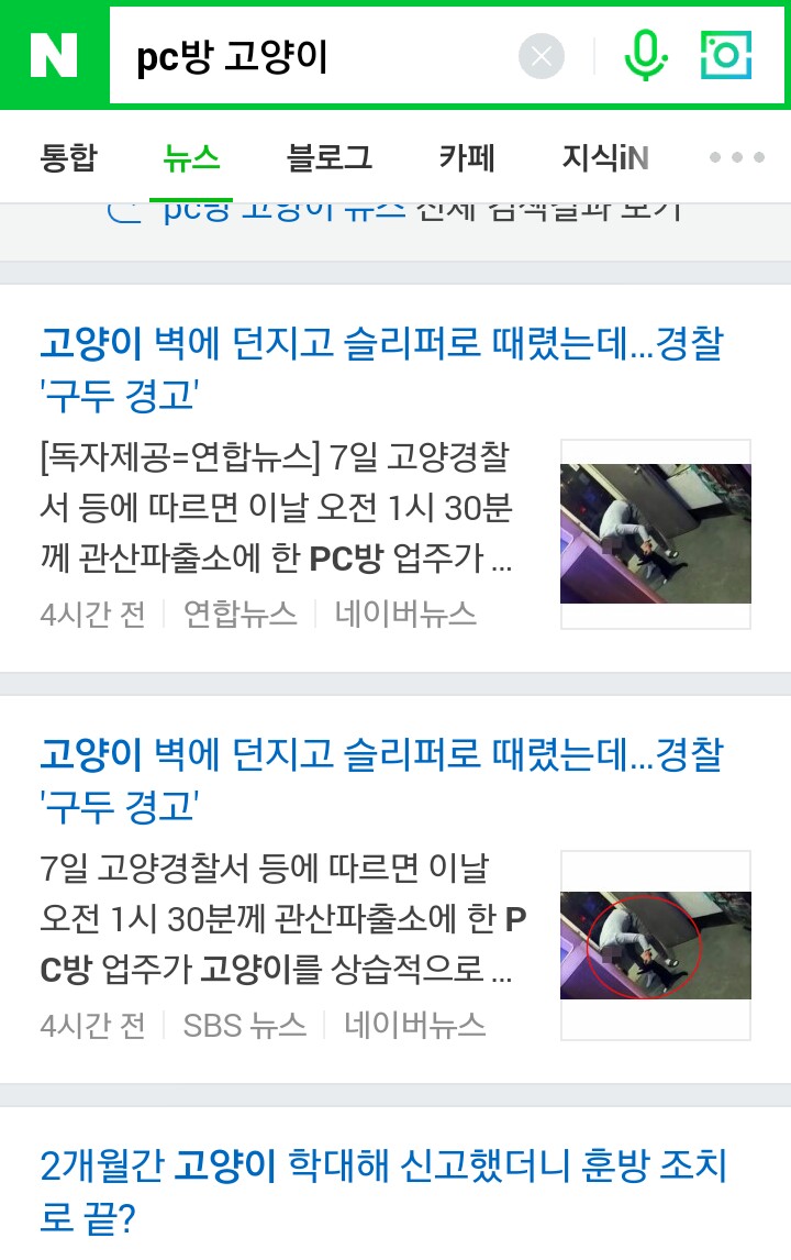 네이버 뉴스 제보 pc방 주인 고양이 상습학대 제보