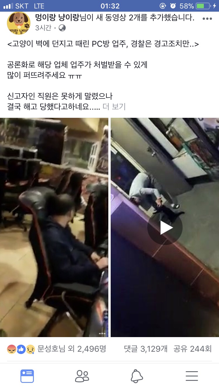 고양시 pc방 주인 고양이 학대