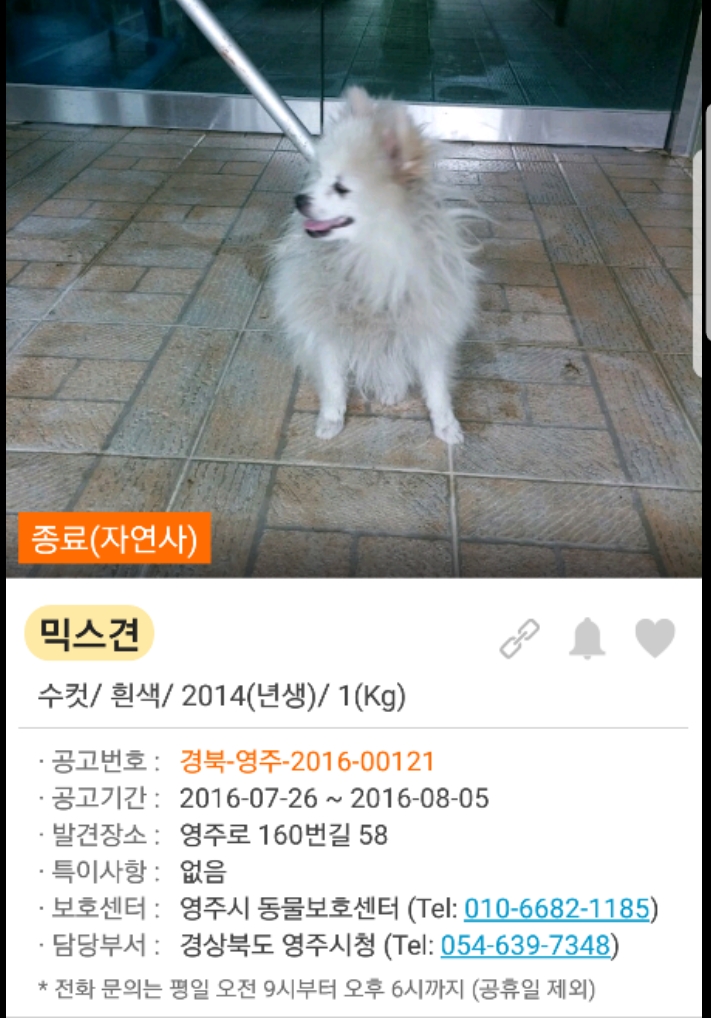동물보호소 학대의심? 제보합니다.
