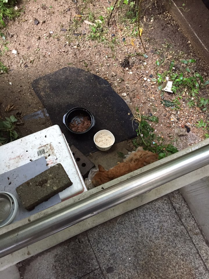 구내염 아이 구조 부탁드려요...`