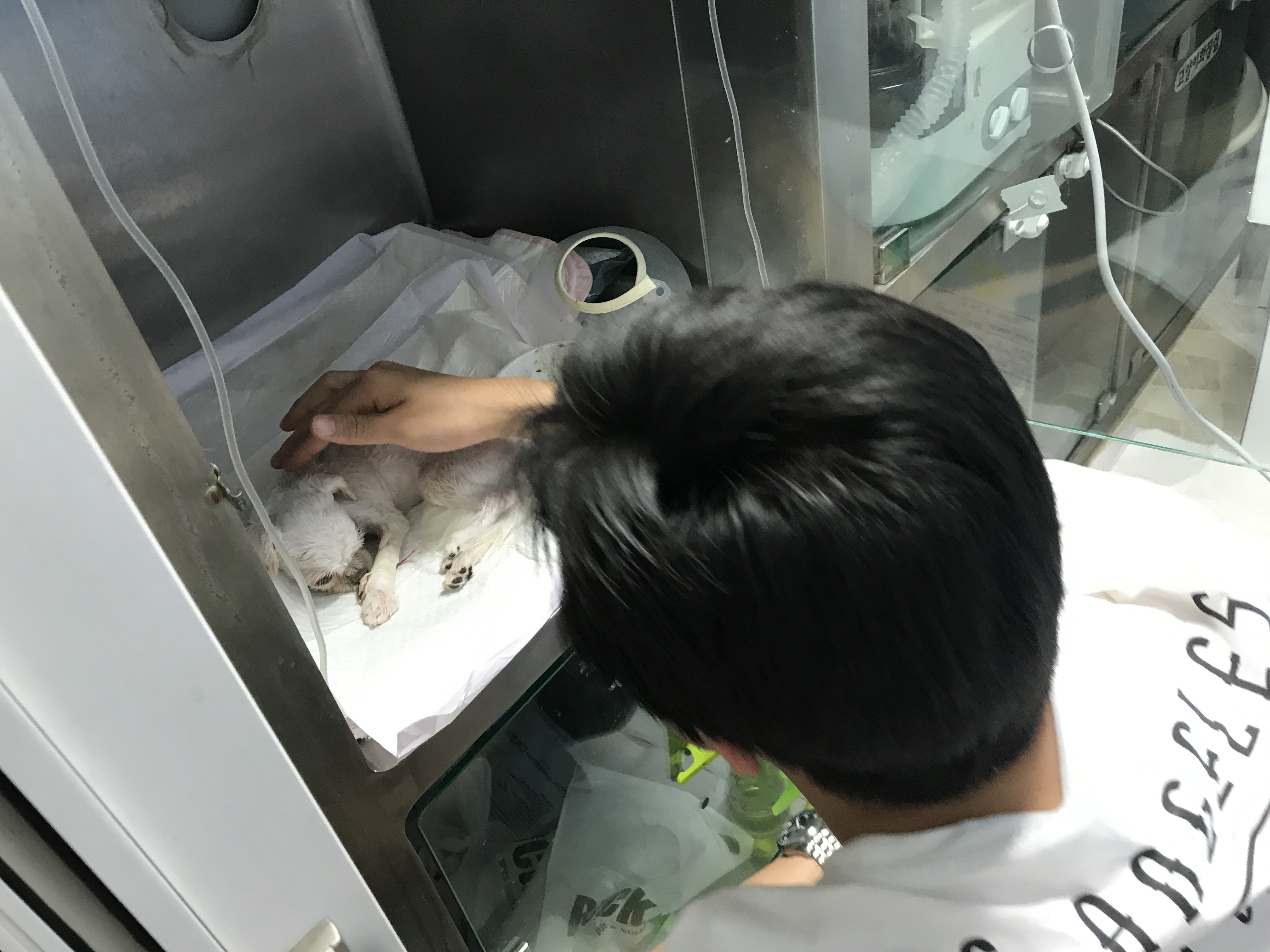 아이 셋을 하늘나라로 보낸 참담한 사연입니다 ..