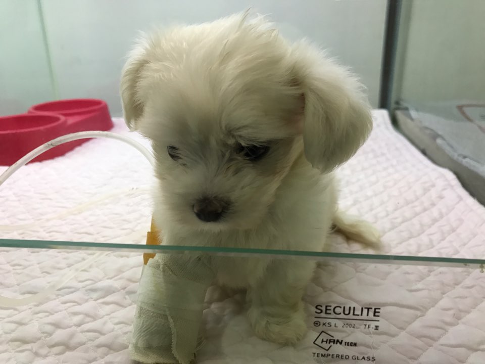 아이 셋을 하늘나라로 보낸 참담한 사연입니다 ..