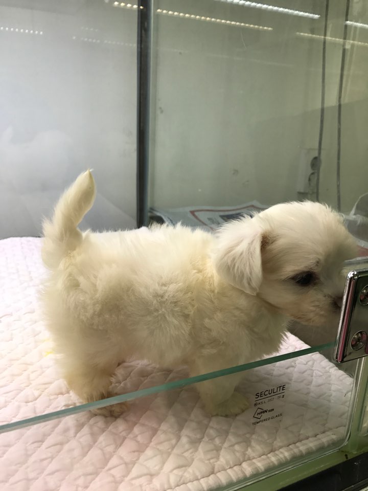 아이 셋을 하늘나라로 보낸 참담한 사연입니다 ..