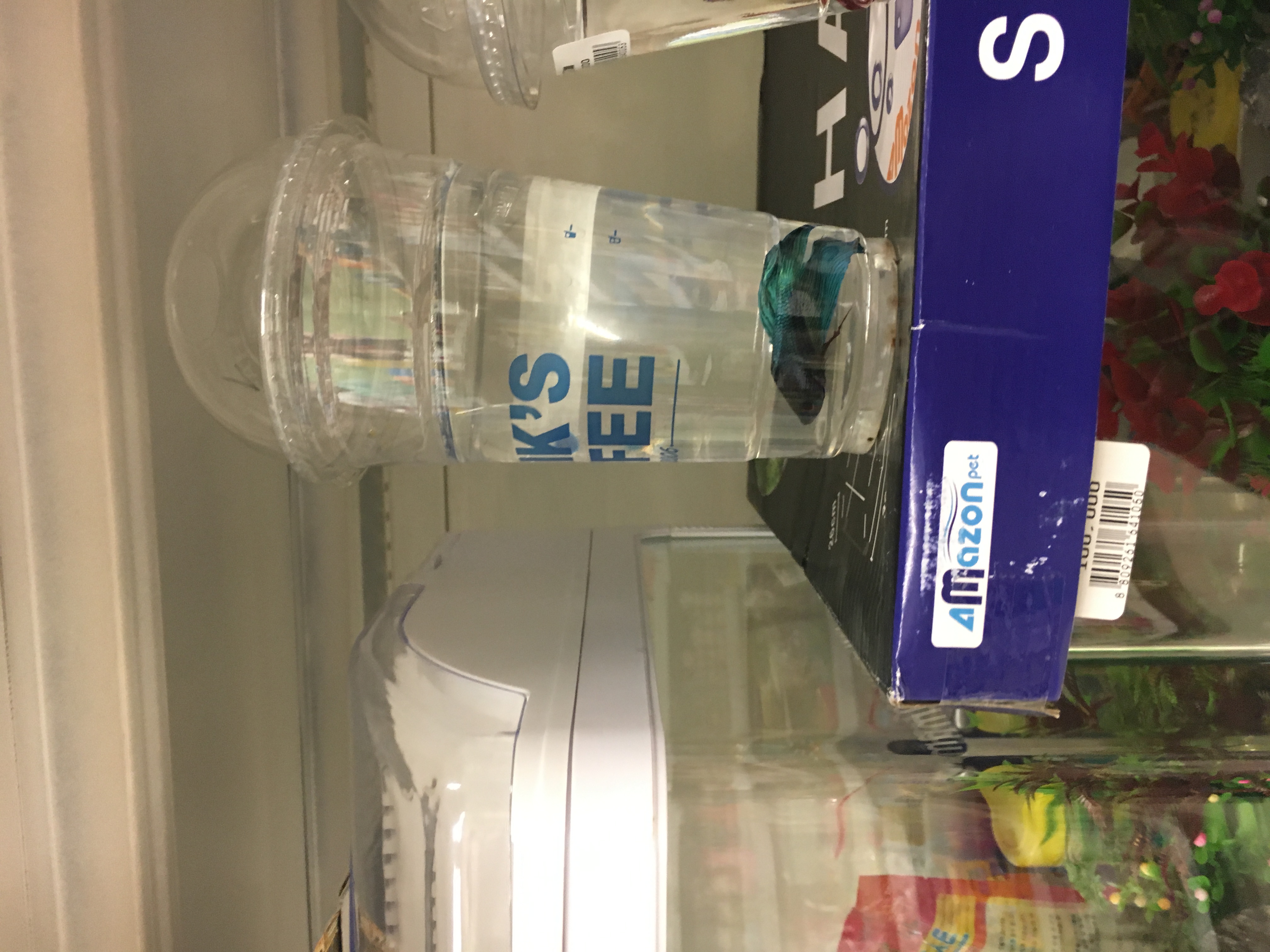 홈플러스 내 물고기 분양 상태 실황