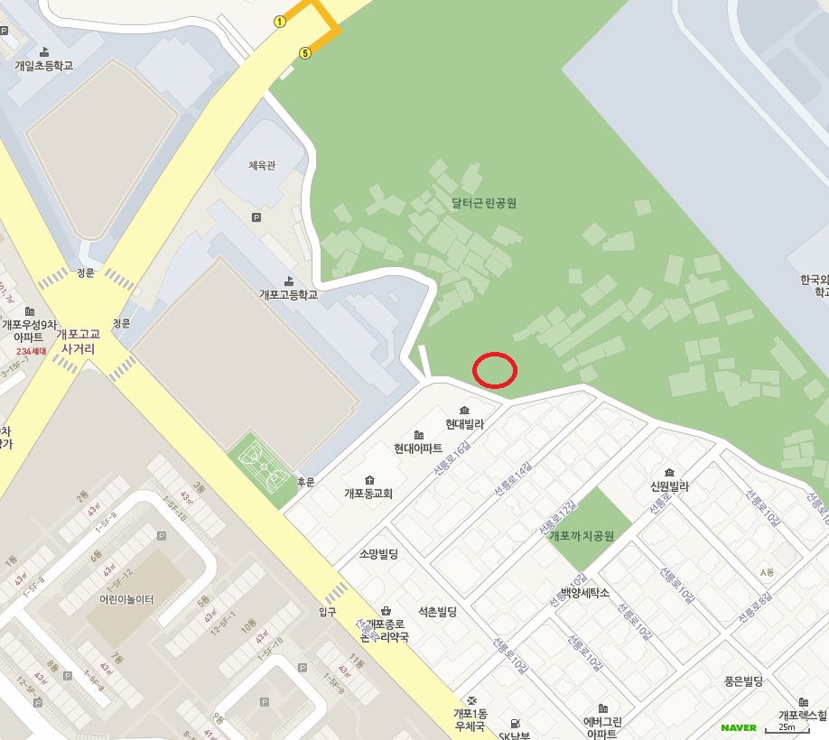 강남 공원부지에 식용견 사육장 의심 시설