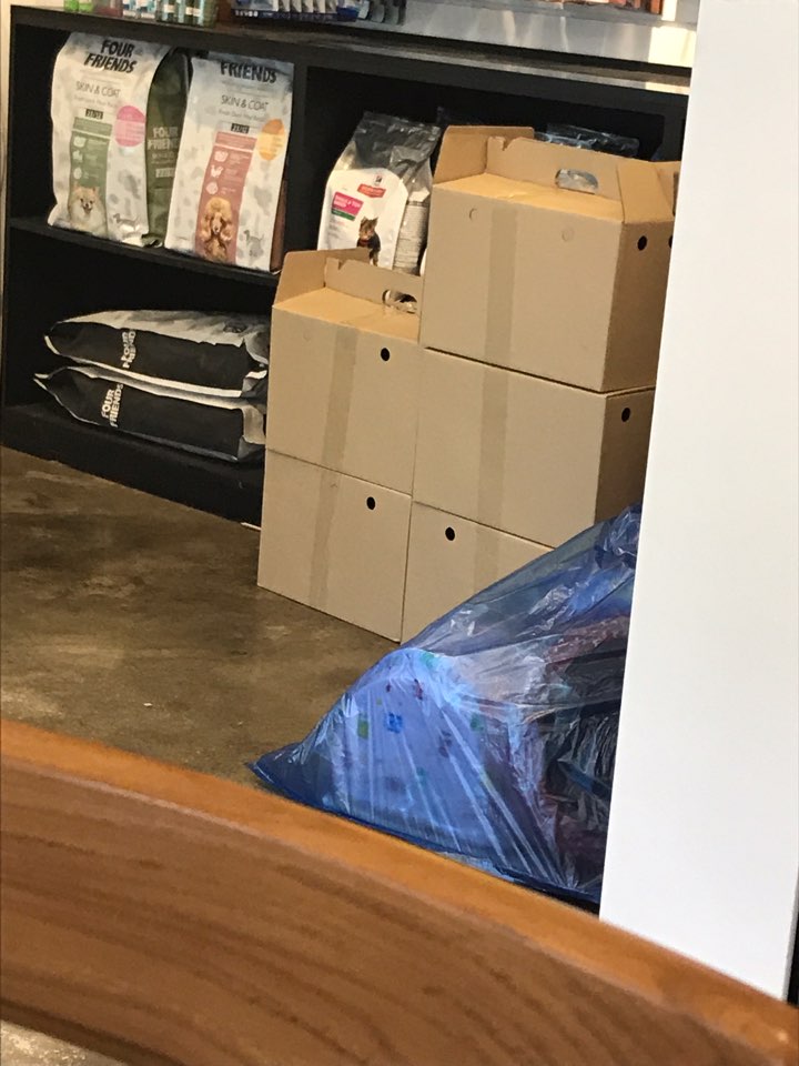 애견미용하러 갔다가 봤는데요