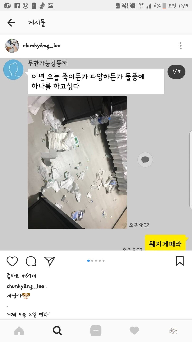 이런경우에도 동물학대로 제보 가능한가요?