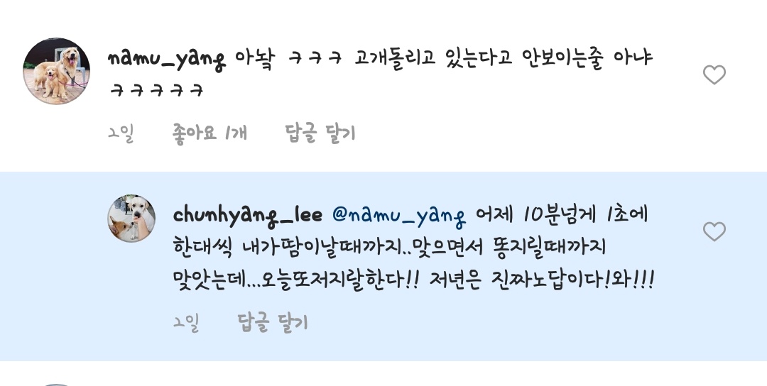 이런경우에도 동물학대로 제보 가능한가요?