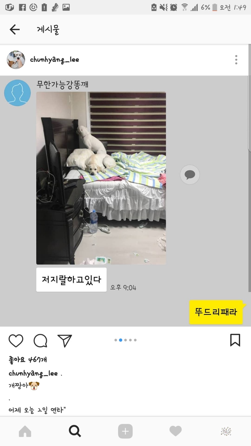 이런경우에도 동물학대로 제보 가능한가요?