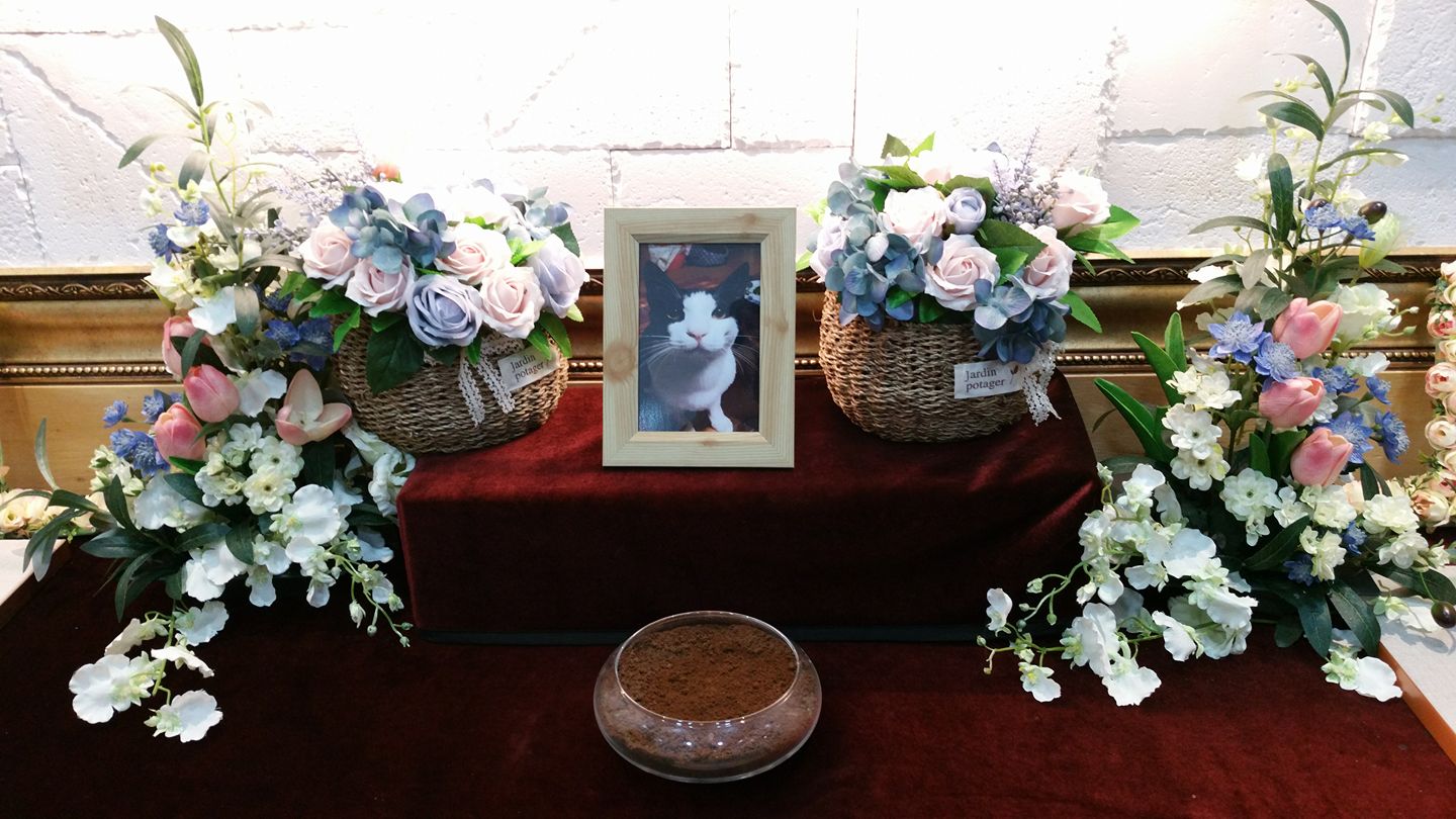 제 사랑하는 아이 바니가 의료과실치사로 세상을 떠났습니다.