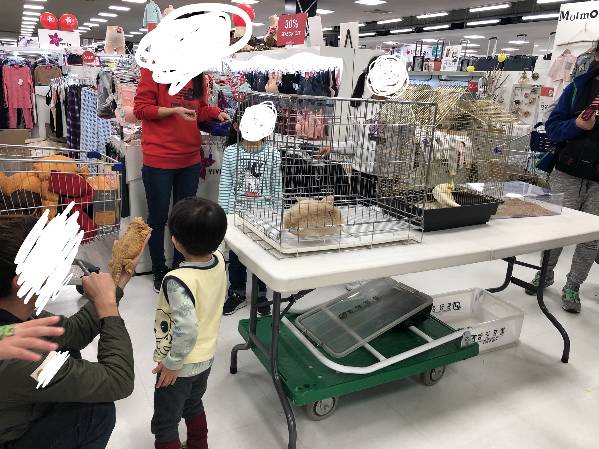 혹시 이런 경우도 동물학대에 신고가 되나요