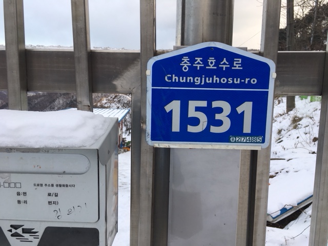 강아지 4 마리 유기 상태