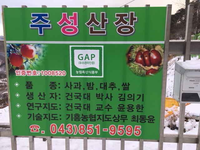 강아지 4 마리 유기 상태