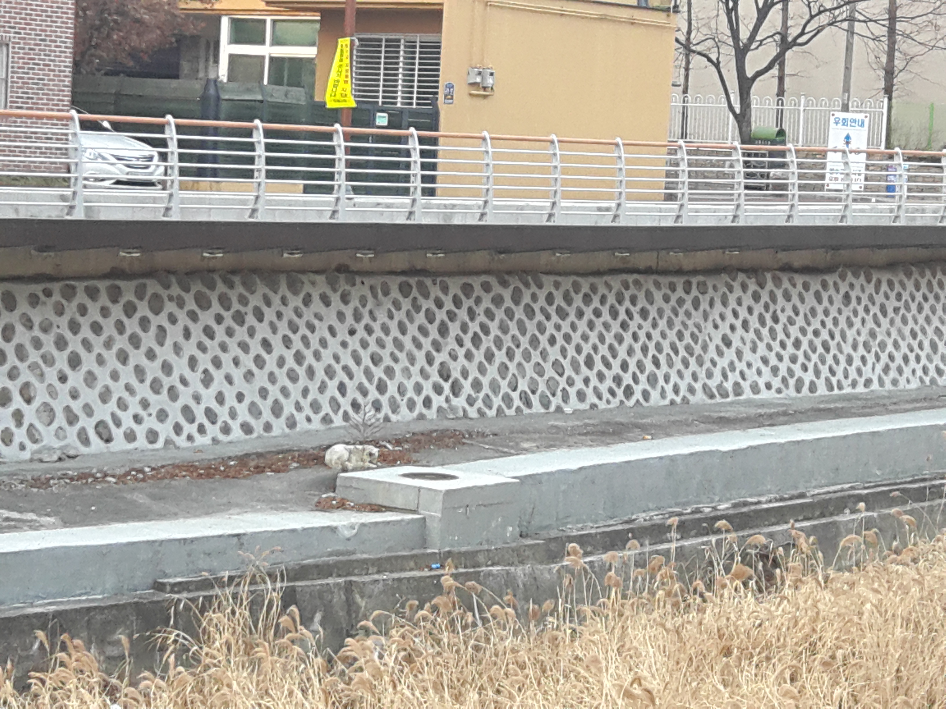 학대제보는 아니지만... ㅜㅠ