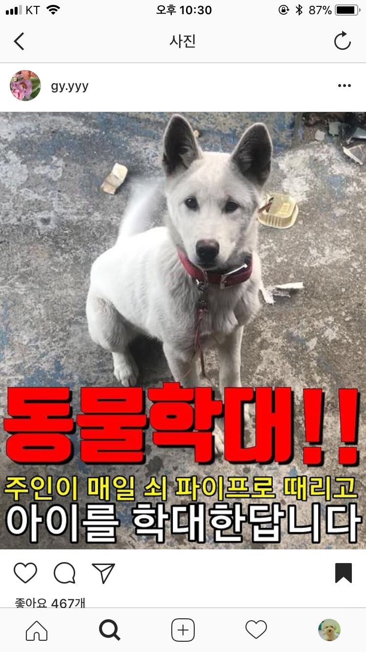 부산 할머니가 쇠파이프로 거의 매일 학대한다고 합니다