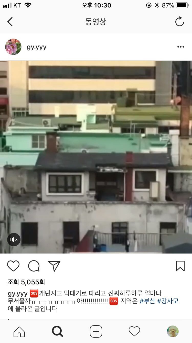 부산 할머니가 쇠파이프로 거의 매일 학대한다고 합니다