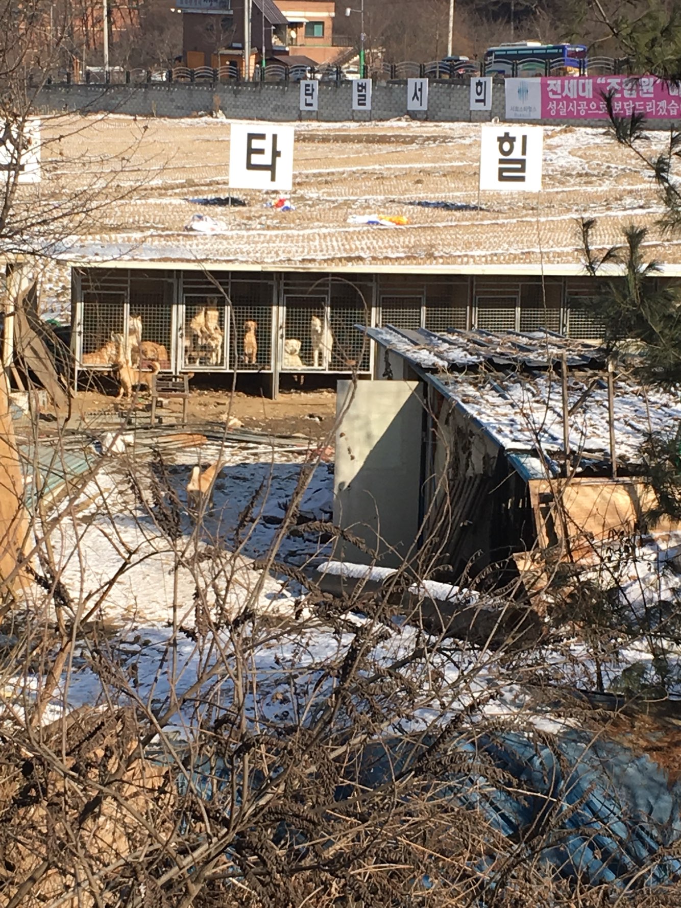 아파트 앞에 개농장이 있는거 같아요, 그 주변엔 오물과 음식물쓰레기가 있어요.