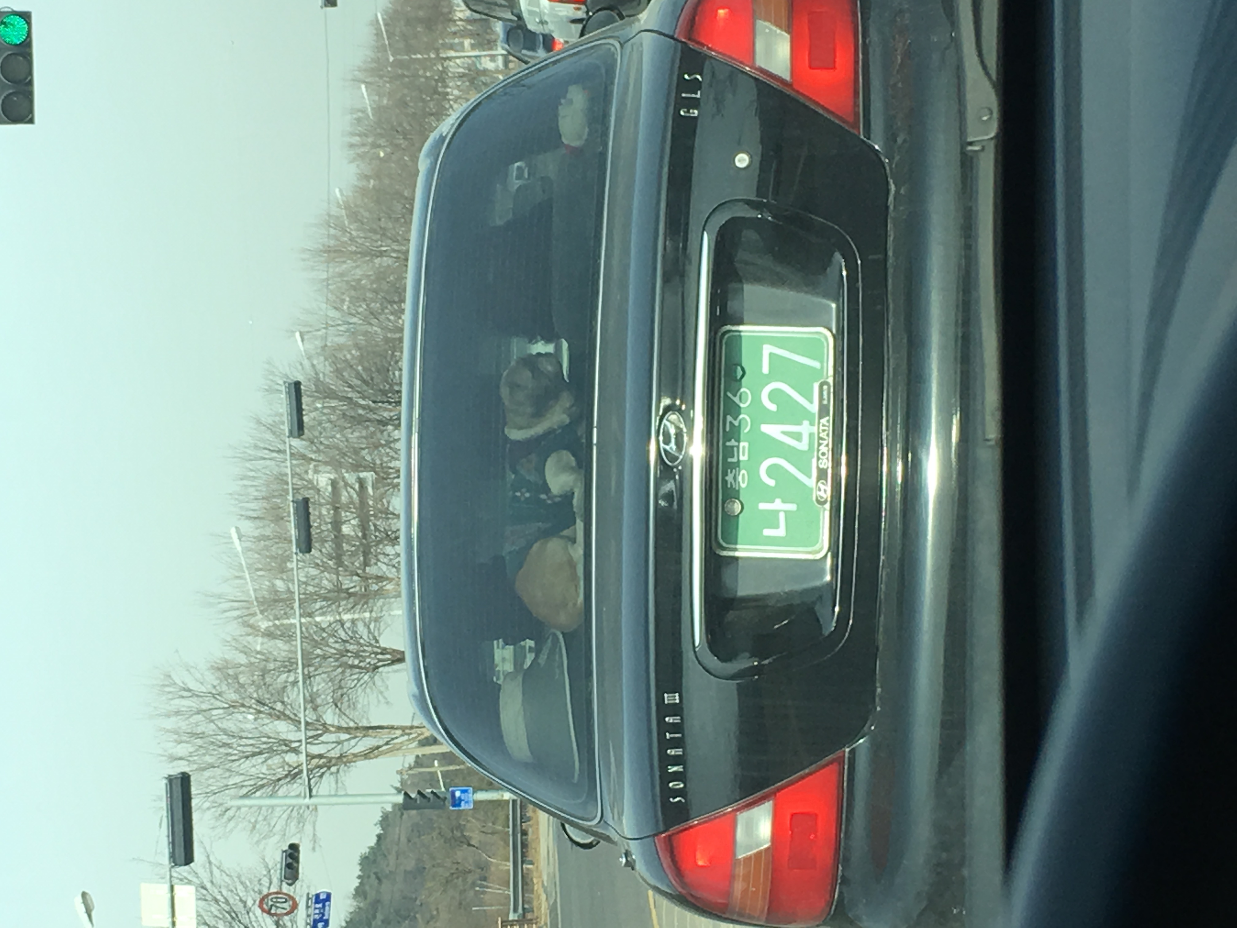 학대아닌가요?