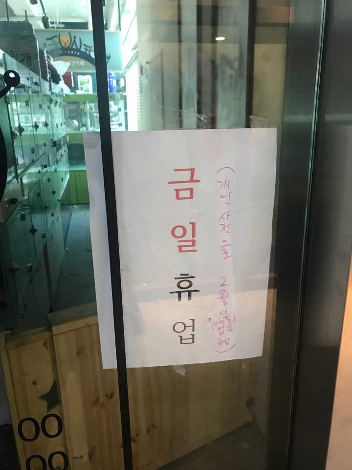 경기 화성 동탄 애견개뻔뻔카페요!