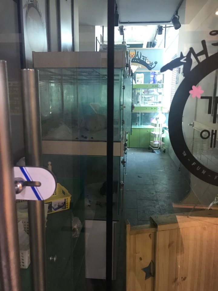 경기 화성 동탄 애견개뻔뻔카페요!