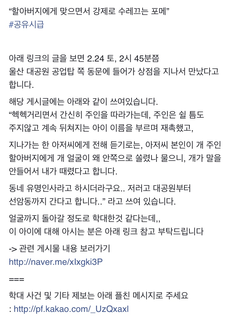 할아버지에게 학대받고 수레끄는 포메라니안 제보입니다