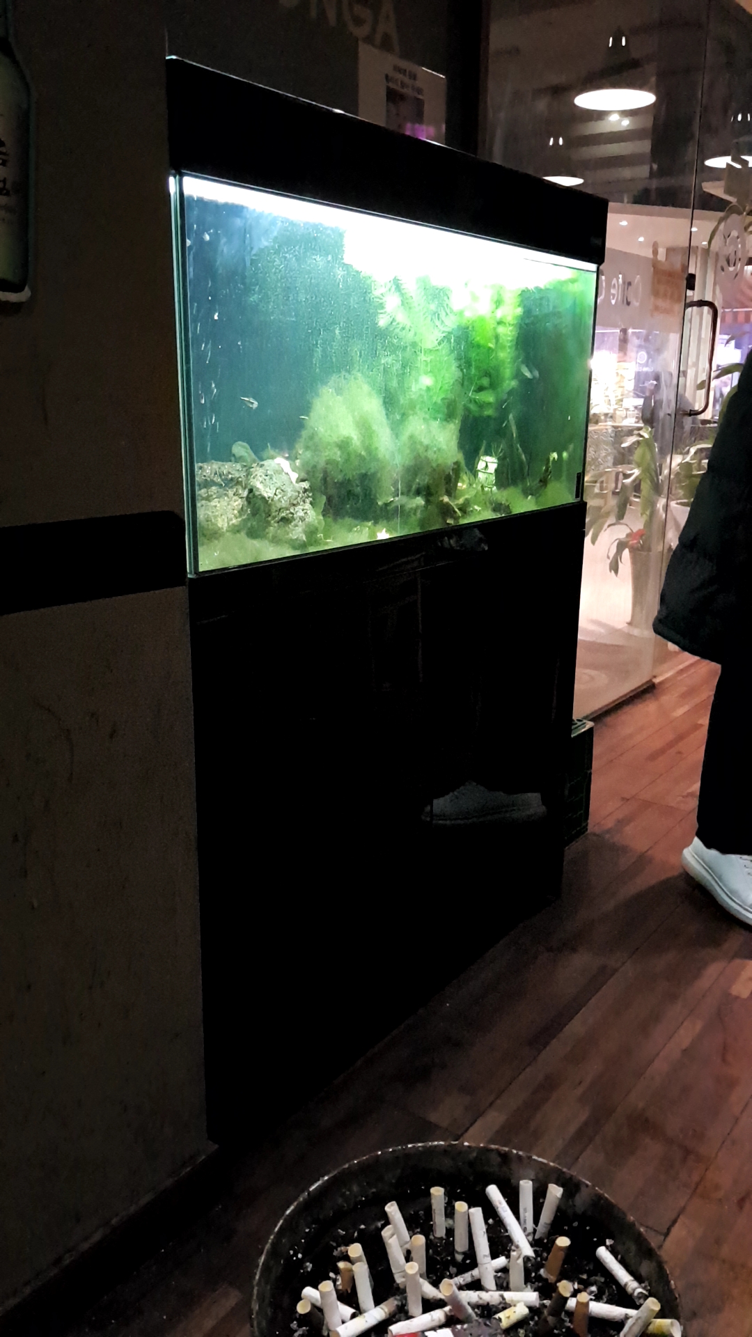 카페콩가 흡연실안 수조