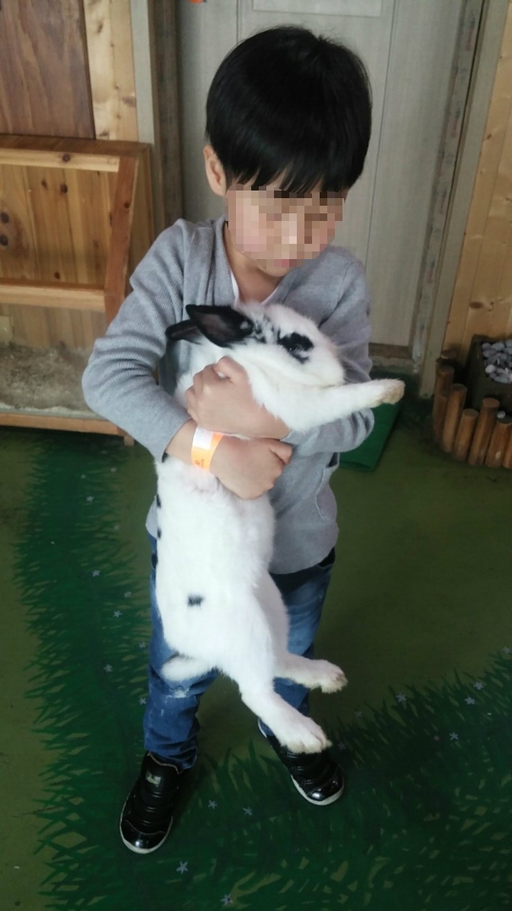 실내동물원이라는 이름하에 아이들이 고통받고 있습니다...