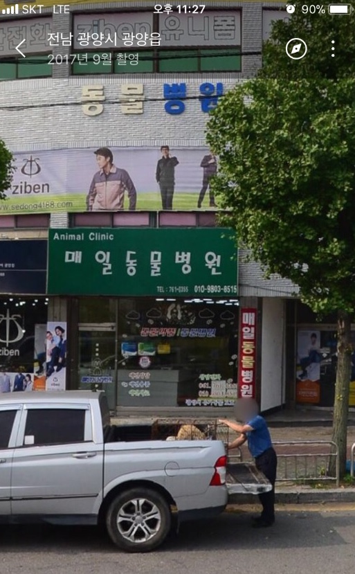 광양시에서 지정한 유기견 보호 동물병원에서 공고기간이 끝난 유기견들을 개장수에게 팔고 있습니다.