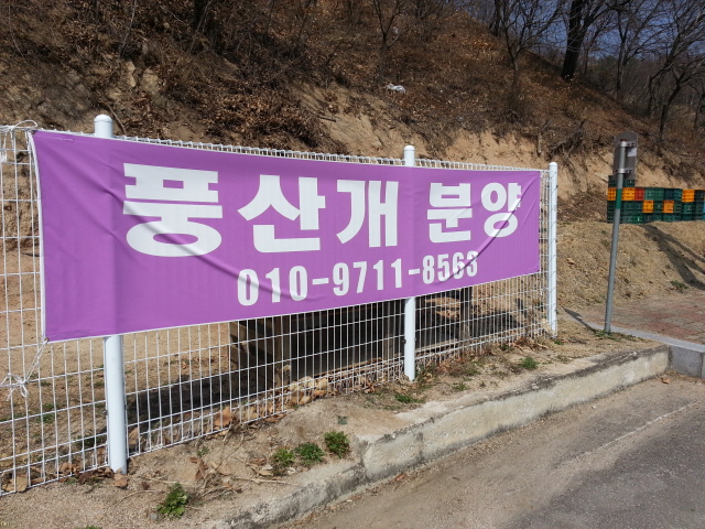 개사육과 식용견 판매 제보