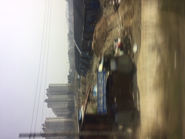 개사육장 