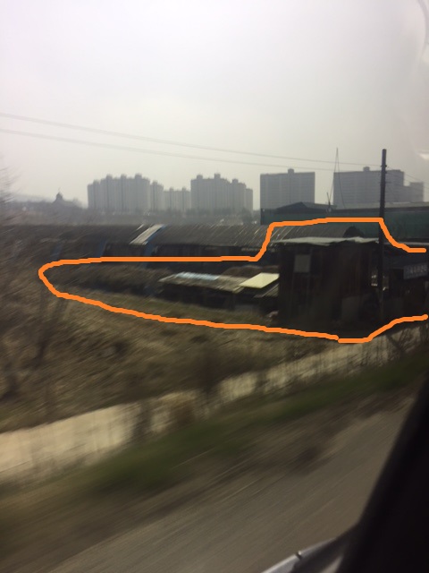 개사육장 