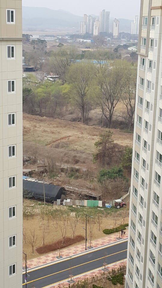 불법개사육장에서 개를 학대 합니다.