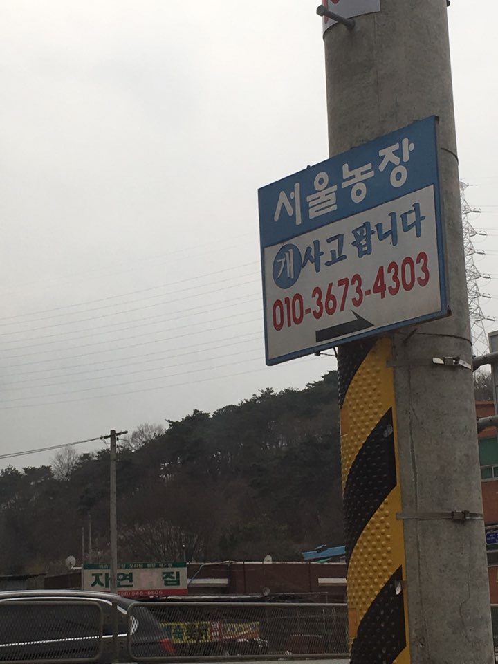 개사육장