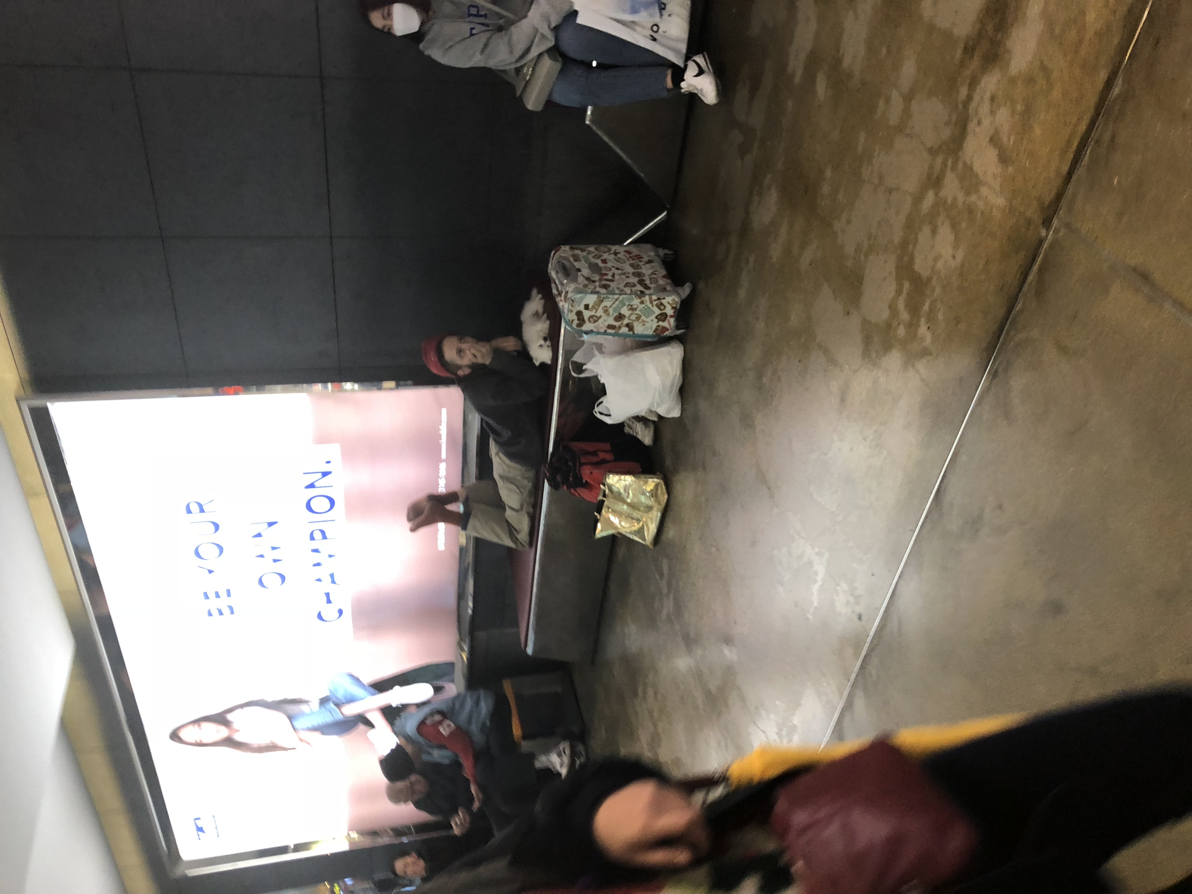 외국인노숙자가 강아지를 학대합니다