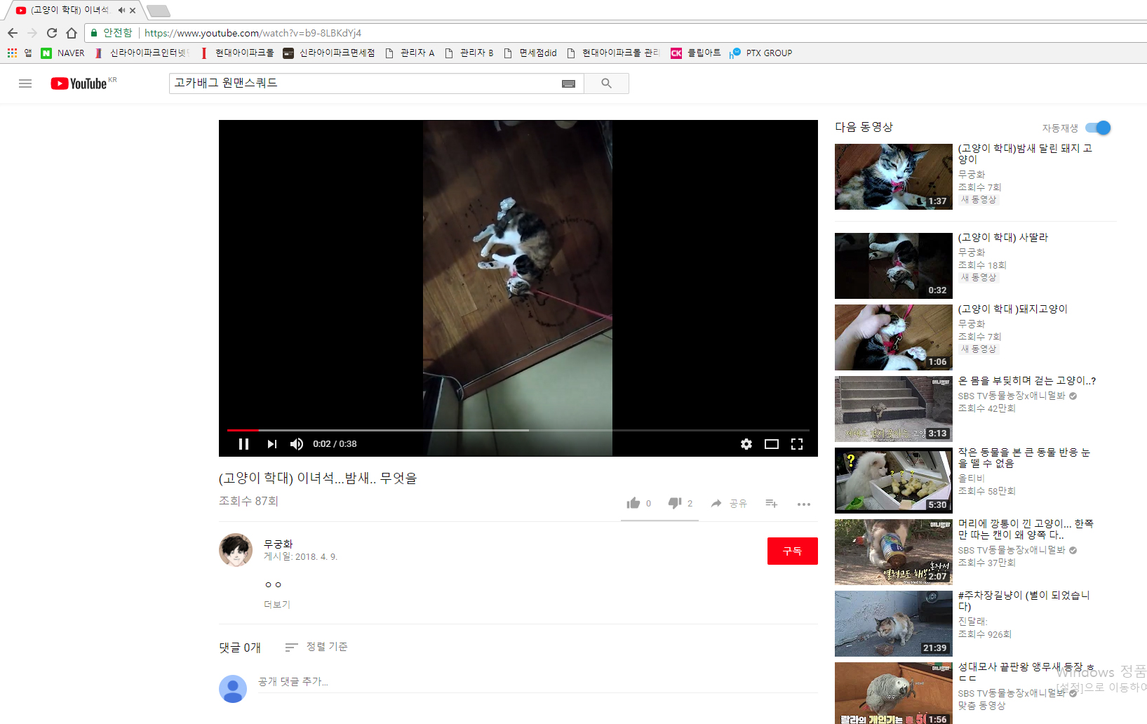 유튜브에 올라온 고양이 학대영상 제보합니다