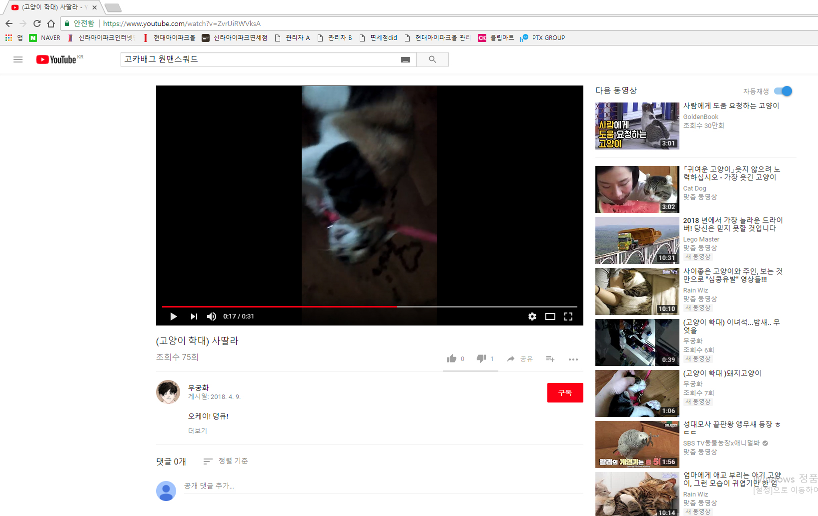 유튜브에 올라온 고양이 학대영상 제보합니다
